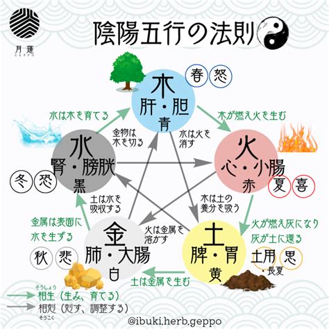 陰陽道 入門|陰陽道（連続講座）